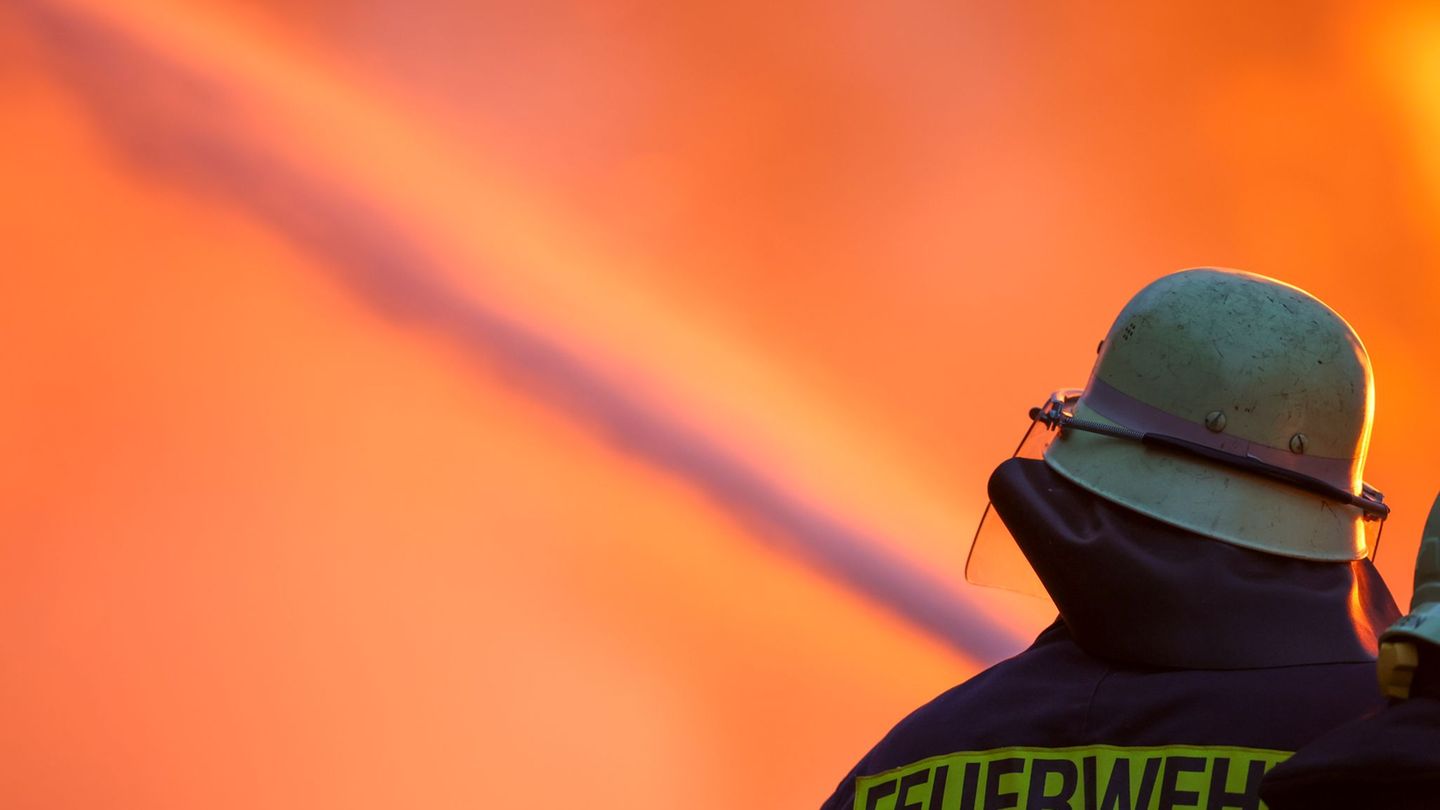 Großbrand: Tote Tiere und Millionenschaden nach Schweinestall-Brand