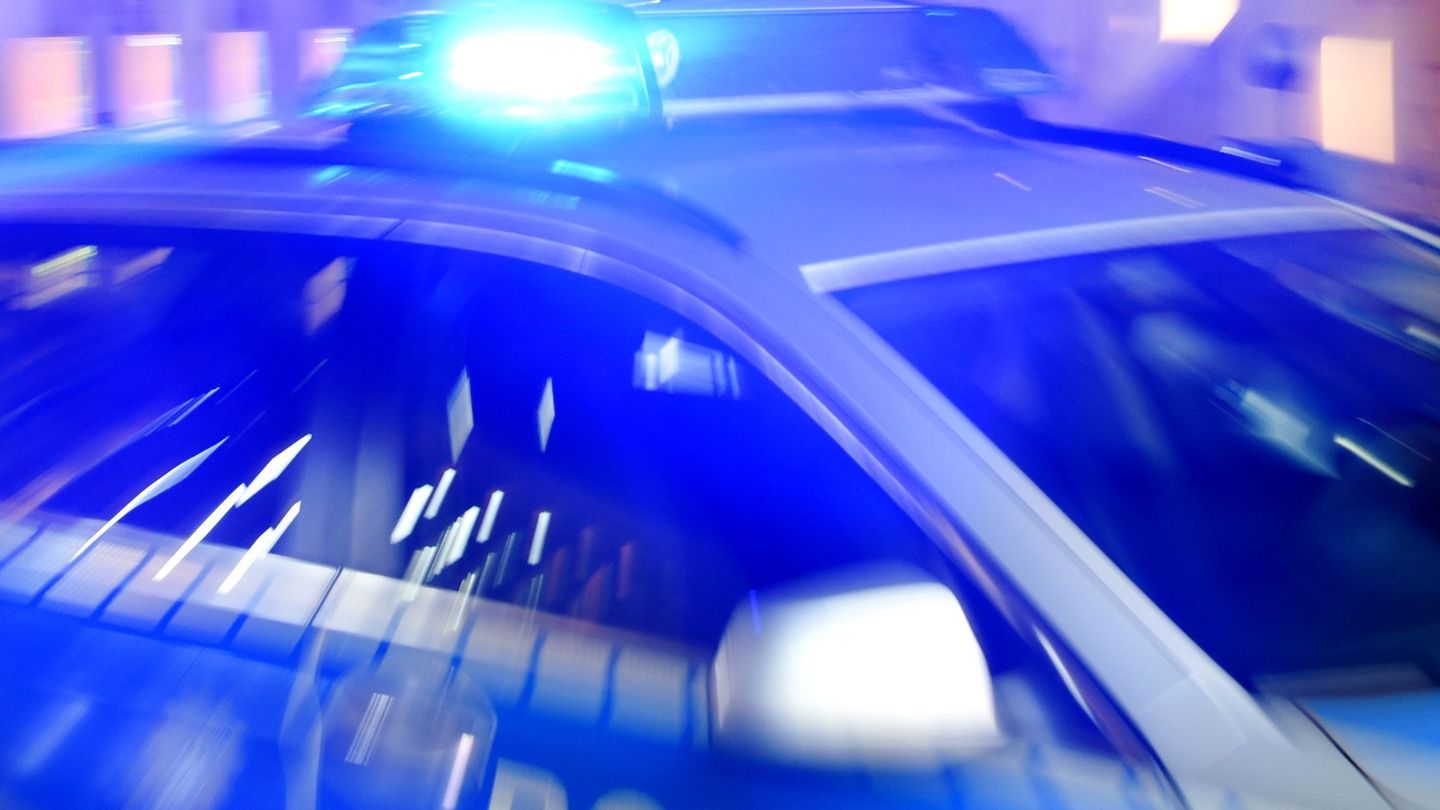 Freilaufendes Tier: Hund attackiert Fünfjährige