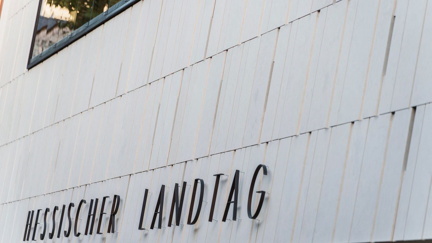 Mutiges Engagement: Hessischer Friedenspreis geht an Jani Silva