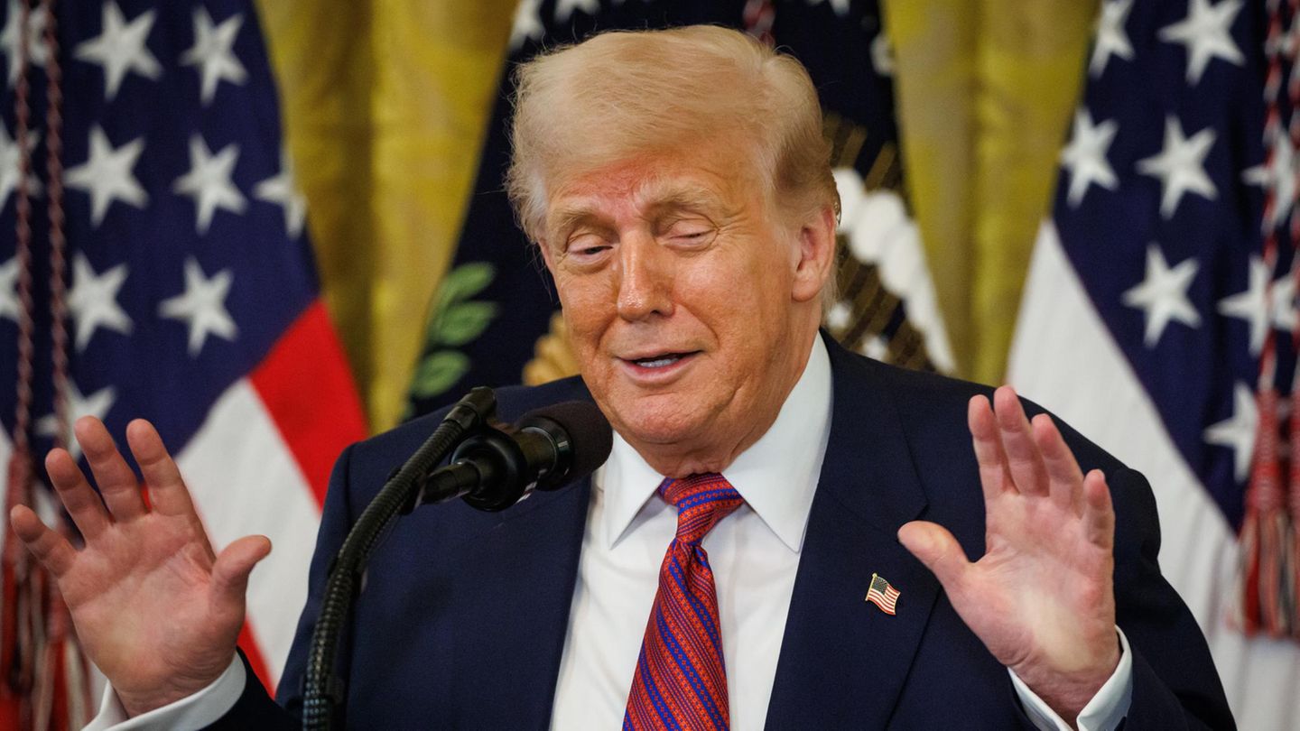 Trump, Daum, Ulbricht: „Ich zeichne keine Bilder“: Die schrägsten Dementis